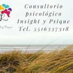 Psicólogo "Insight & Psique"