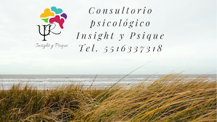 Psicólogo "Insight & Psique"