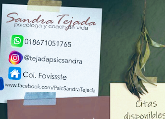 Lic. Sandra Luz Tejada Vallarta Psicologa y Coach de Vida