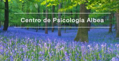 Centro Albea | Psicólogos Pamplona